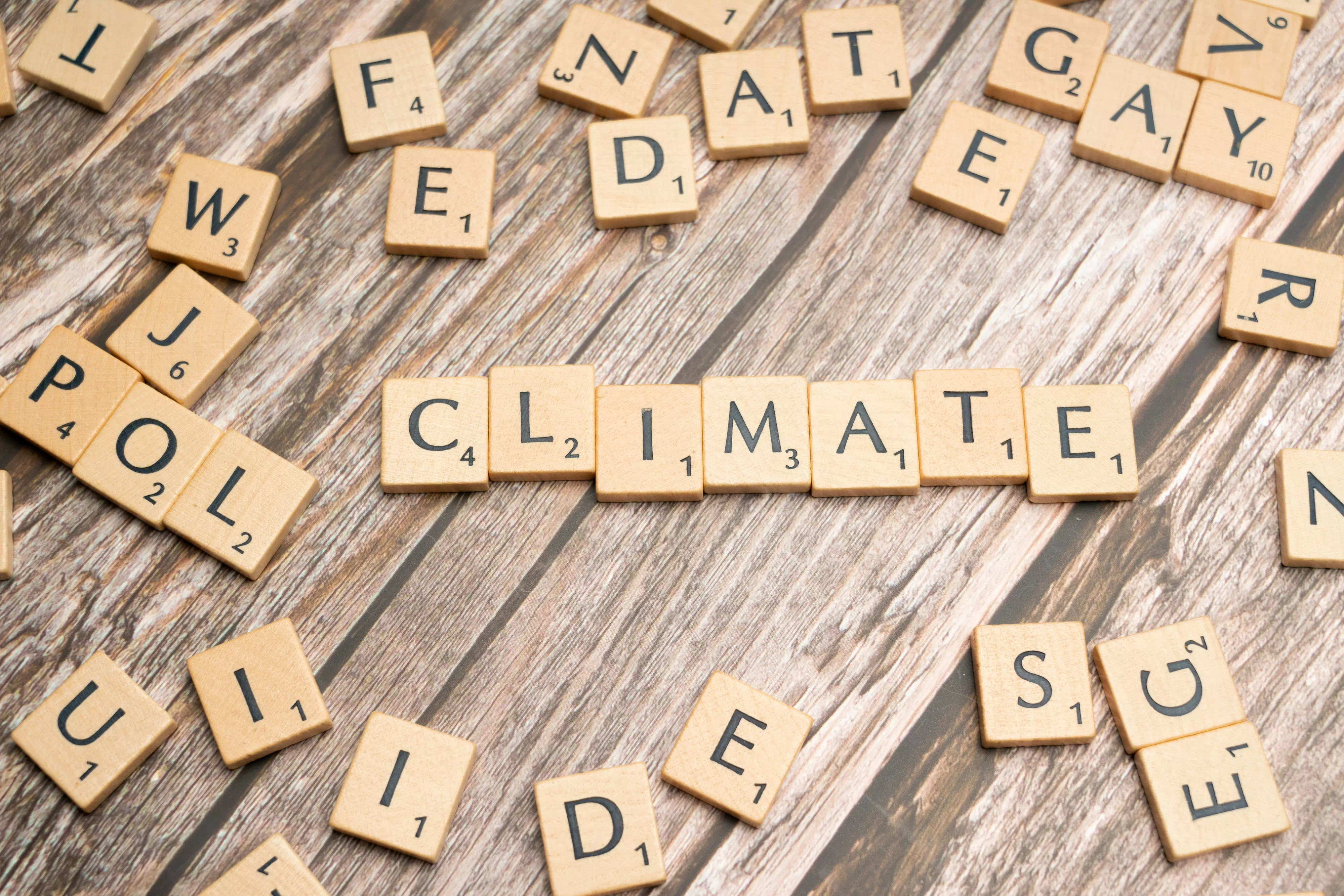 image Building back better: Flagship Municipalities chart a path to climate neutrality